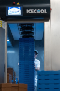 Chłodnio-garownia CTS